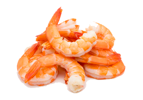 Prawns